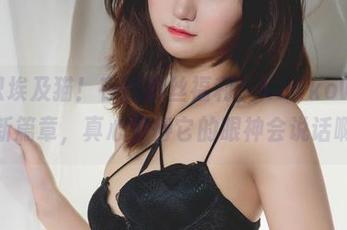 看这只埃及猫！在线粉丝福利，KuukoW的美图新篇章，真心觉得它的眼神会说话啊！