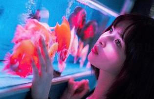 在线大赏—河豚抚子的修女写真，高清下的细节让人咋舌。